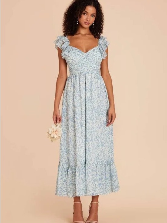 Birdy Grey Dresses & Skirts - Birdy Grey blue and white floral dress size large, NWT, never worn
